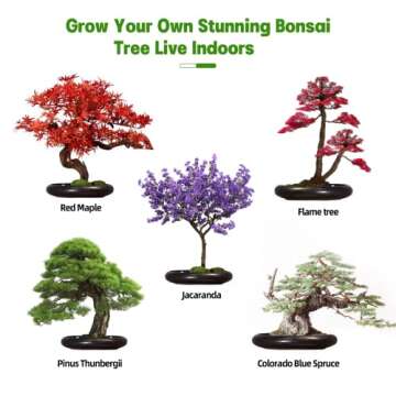 Bonsai Tree Kit - Bonsai Tree Starter Kit with 5 Seeds Types - Unique Indoor Gardening Gift Ideas for Garden Lovers or Gardener Mom - Wooden Gift Box Packaging