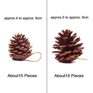 Whaline 25 Pcs 1.6-2.4 Inches Christmas Pine Cones Decoration with String, Natural Rustic Pinecones Bulk Ornaments for Crafting for Home Accent Decor, Fall Thanksgiving Tree Decoration