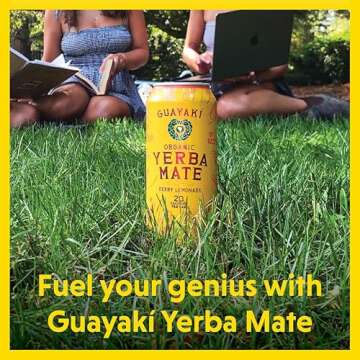 Guayakí Yerba Mate, Energy Drink Alternative, Organic Berry Lemonade Flavor, 15.5 Oz (Pack of 12), 150mg Natural Caffeine, Back to School College Essential, Smooth Energy & Focus