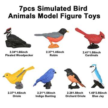 Newmemo Toy Bird Figures 7pcs Mini Bird Figurines for Kids Birds Cake Cupcake Topper Miniature Birds Animal Figure Oriole Robin Cardinal Bird Educational Toy Bird Cake Decoration Backyard Birds Toys