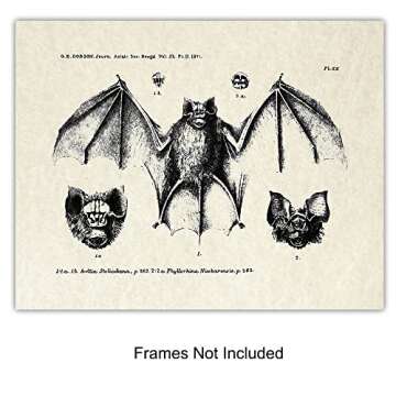 Bats Wall Decor - Vintage Retro Hipster Goth Art, Home or Room Decoration - Gift for Gothic, Horror, Vampire Fans - 8x10 UNFRAMED Creepy Scary Anatomical Picture Poster Print Set