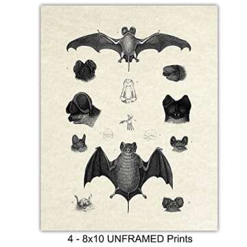 Bats Wall Decor - Vintage Retro Hipster Goth Art, Home or Room Decoration - Gift for Gothic, Horror, Vampire Fans - 8x10 UNFRAMED Creepy Scary Anatomical Picture Poster Print Set