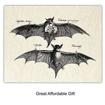 Bats Wall Decor - Vintage Retro Hipster Goth Art, Home or Room Decoration - Gift for Gothic, Horror, Vampire Fans - 8x10 UNFRAMED Creepy Scary Anatomical Picture Poster Print Set