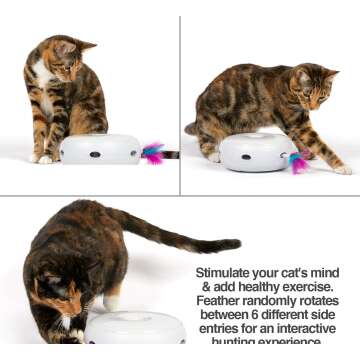 Interactive Cat Toys