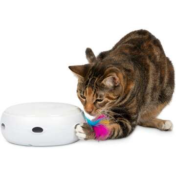 Interactive Cat Toys