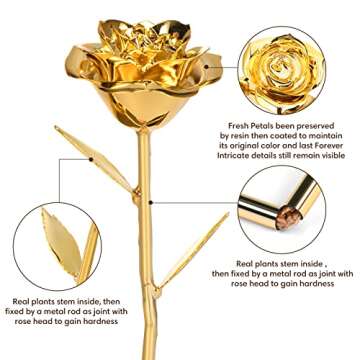 Anthonic Gold Dipped Rose Real 24K Gold Rose, Gift for girlfriends