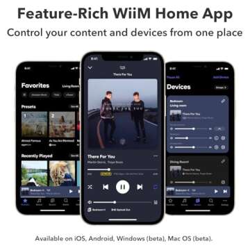 WiiM Ultra Music Streamer & Digital Preamp | 3.5" Touchscreen, Compatible with Google Cast & Alexa, Stream Spotify, Amazon Music, Tidal & More | HDMI ARC, Phono Input & Headphone Output | Space Gray