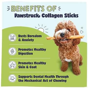 Pawstruck Natural Large 12" Beef Collagen Sticks for Dogs - Healthy Long Lasting Alternative to Traditional Rawhide - High Protein Treats w/Chondroitin & Glucosamine - 5 Count - Packaging May Vary