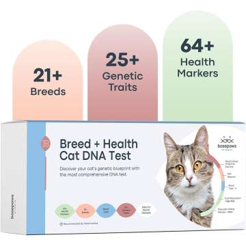 Basepaws Cat DNA Test Kit for Breed & Health Insights