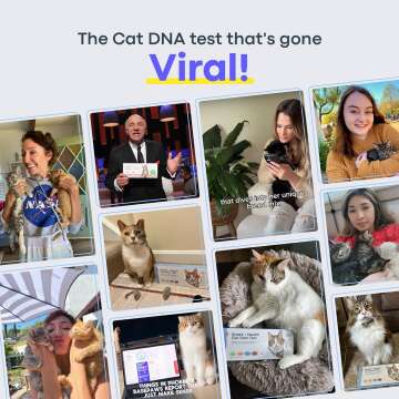 Basepaws Cat DNA Test Kit for Breed & Health Insights