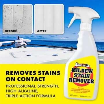 STAR BRITE Liquid Mold & Mildew Stain Remover + Cleaner – Removes Stains on Contact - 22 OZ (085616SS), Wood