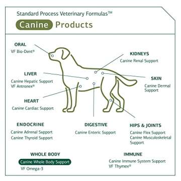 Standard Process Canine Whole Body Support - Multisystem Support Supplement for Canines - Nutritional Powder Supplement for Daily Health Maintenance - Multisystem Supplement Formula - 100 g