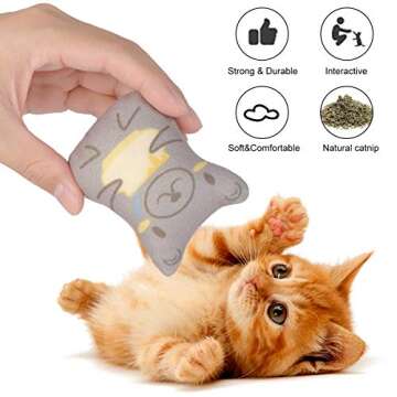 Dorakitten Catnip Toys for Indoor Cats - 5PCS Plush Cat Chew Toys Teething Interactive Catnip Filled Kitten Toy Soft Pet Toy (Animal Shapes)