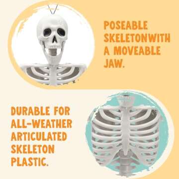 24" Halloween Posable Skeletons for Spooky Decor