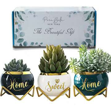 Charming Housewarming Gifts: 3 Succulent Pots for Plant Lovers