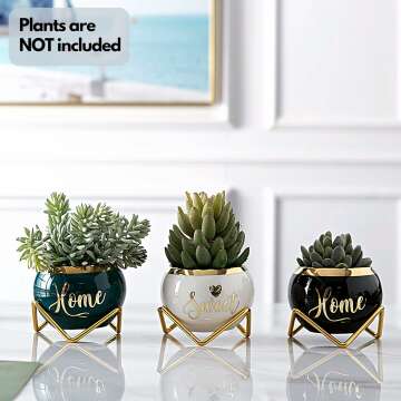 Housewarming Gift: 3 Succulent Pots for Plant Lovers