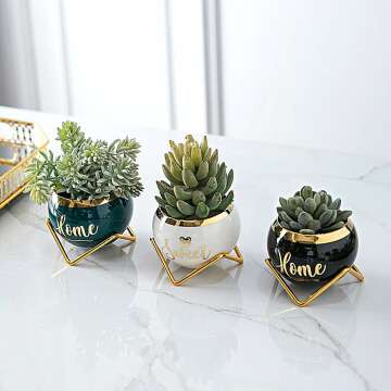 Housewarming Gift: 3 Succulent Pots for Plant Lovers