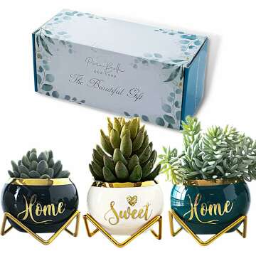 Housewarming Gift: 3 Succulent Pots for Plant Lovers