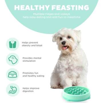 Outward Hound Fun Feeder Slo Bowl - Mint Color