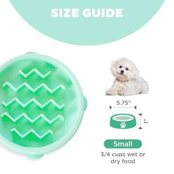 Outward Hound Fun Feeder Slo Bowl - Mint Color