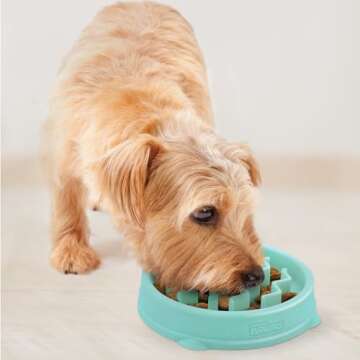 Outward Hound Fun Feeder Slo Bowl - Mint Color