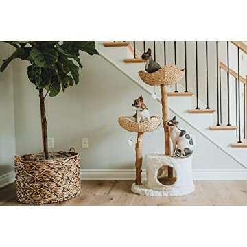 MAU Modern Cat Tree Tower for Large Cats, Real Branch Luxury Cat Condo, Wood Cat Scratching Tree, Cat Lover Gifts by Mau Lifestyle