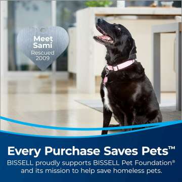 BISSELL CleanView Swivel Pet Vacuum for Easy Cleaning