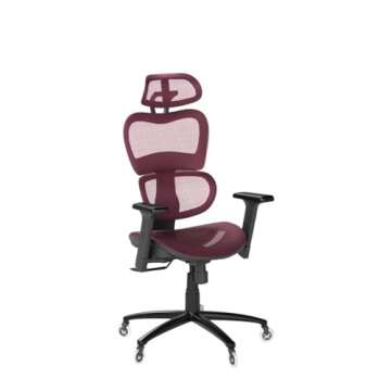 Nouhaus Ergo3D Ergonomic Office Chair Lumbar Support Mesh Office Chair with 4D Adjustable Armrest, Adjustable Headrest and Wheels, Mesh High Back Home Office Desk Chairs(Burgundy)