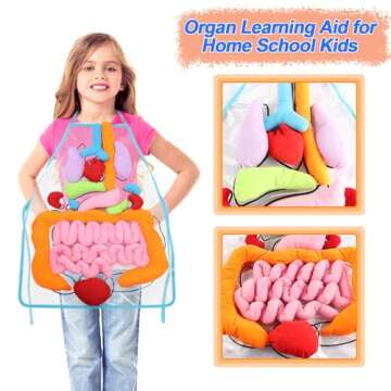 KAKIBLIN 3D Organ Apron,(Upgrade Version) Anatomy Apron Human Body Organs Awareness Educational Toy for Home Preschool Teaching Aid, Transparent