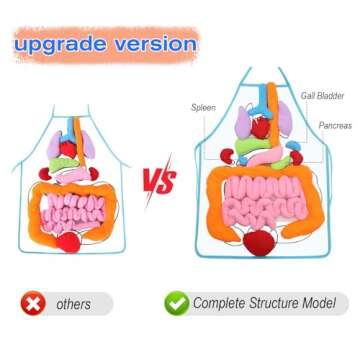 KAKIBLIN 3D Organ Apron,(Upgrade Version) Anatomy Apron Human Body Organs Awareness Educational Toy for Home Preschool Teaching Aid, Transparent