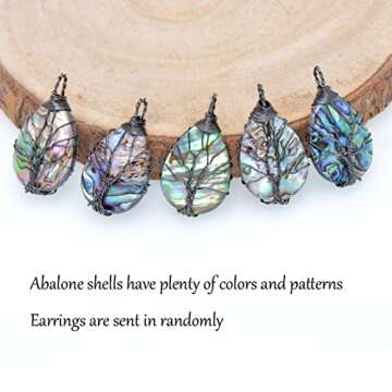 Teardrop Abalone Shell Dangle Earrings for Women