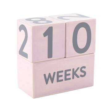 Pink Baby Milestone Blocks Set