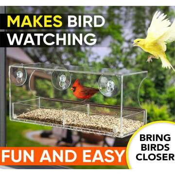 Clear Window Bird Feeders
