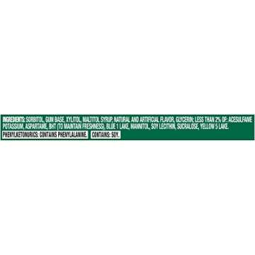 Trident Spearmint Sugar Free Gum - 12 Packs