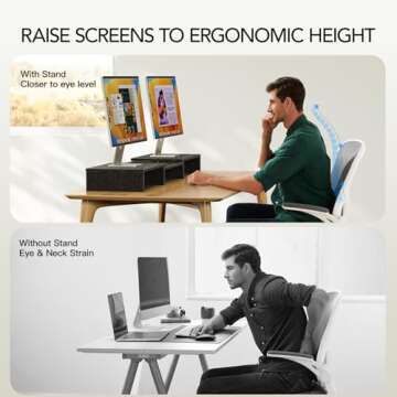 AMERIERGO Dual Monitor Stand Riser for Home Office