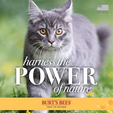 Burt's Bees for Pets Cat Dander Wipes with Colloidal Oat Flour, 98% Natural Origin Formulas, Cat Dander Remedy, Cat Wipes for Allergy Relief, Cat Dander Wipes, 50ct