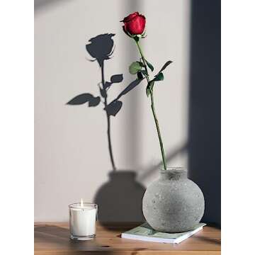 Serene Spaces Living Antique Ashen Ball Cement Vase, Grey Concrete Floral Vase, Home, Office Decor, Table Centerpiece for Vintage Wedding, Anniversary, Birthday, Holiday, 7.5" Diameter & 7" Tall