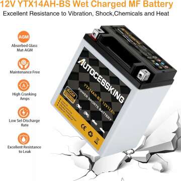 YTX14AH-BS 12V 12Ah Powersport Battery for Motorcycles