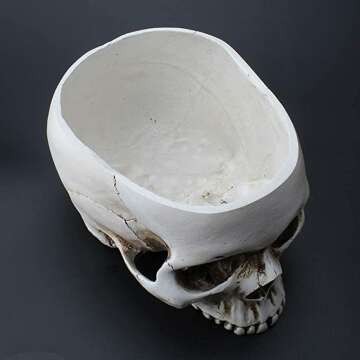 Skull Flower Pot