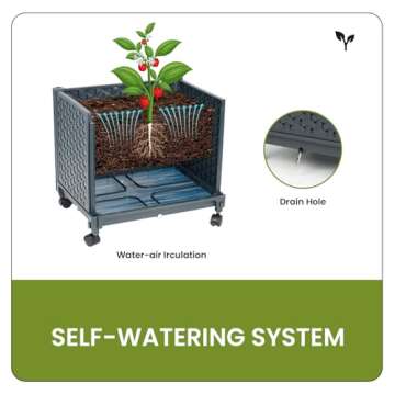 DXront Raised Garden Bed with Tomato Cage & Self-Watering Planter