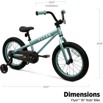 Flyer 16" Kids' Bike with Training Wheels