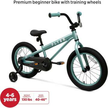 Flyer 16" Kids' Bike with Training Wheels