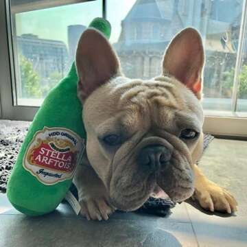 Haute Diggity Dog Stella Arftois Beer Bottle, Plush Designer Dog Toys with Interactive Squeaker, Stimulating Pet Enrichment, Machine-Washable & Safe Materials for All Breeds, One Size