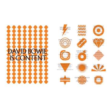 David Bowie Is (Museum of Contemporary Art, Chicago: Exhibition Catalogues)