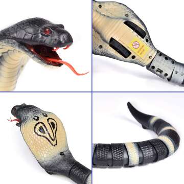 RC Snake Toy Fun