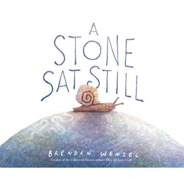 A Stone Sat Still: (Environmental and Nature Picture Book for Kids, Perspective Book for Preschool and Kindergarten, Award Winning Illustrator)