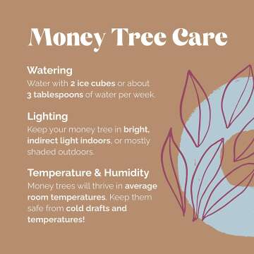 Money Tree 5\