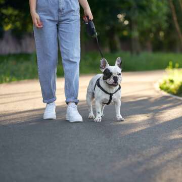 What to Give a Dog Walker as a Gift