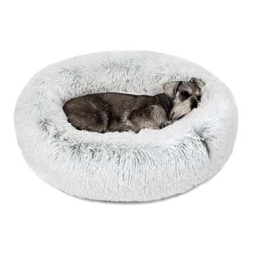 Dog Beds