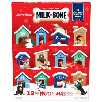 Kids Advent Calendars